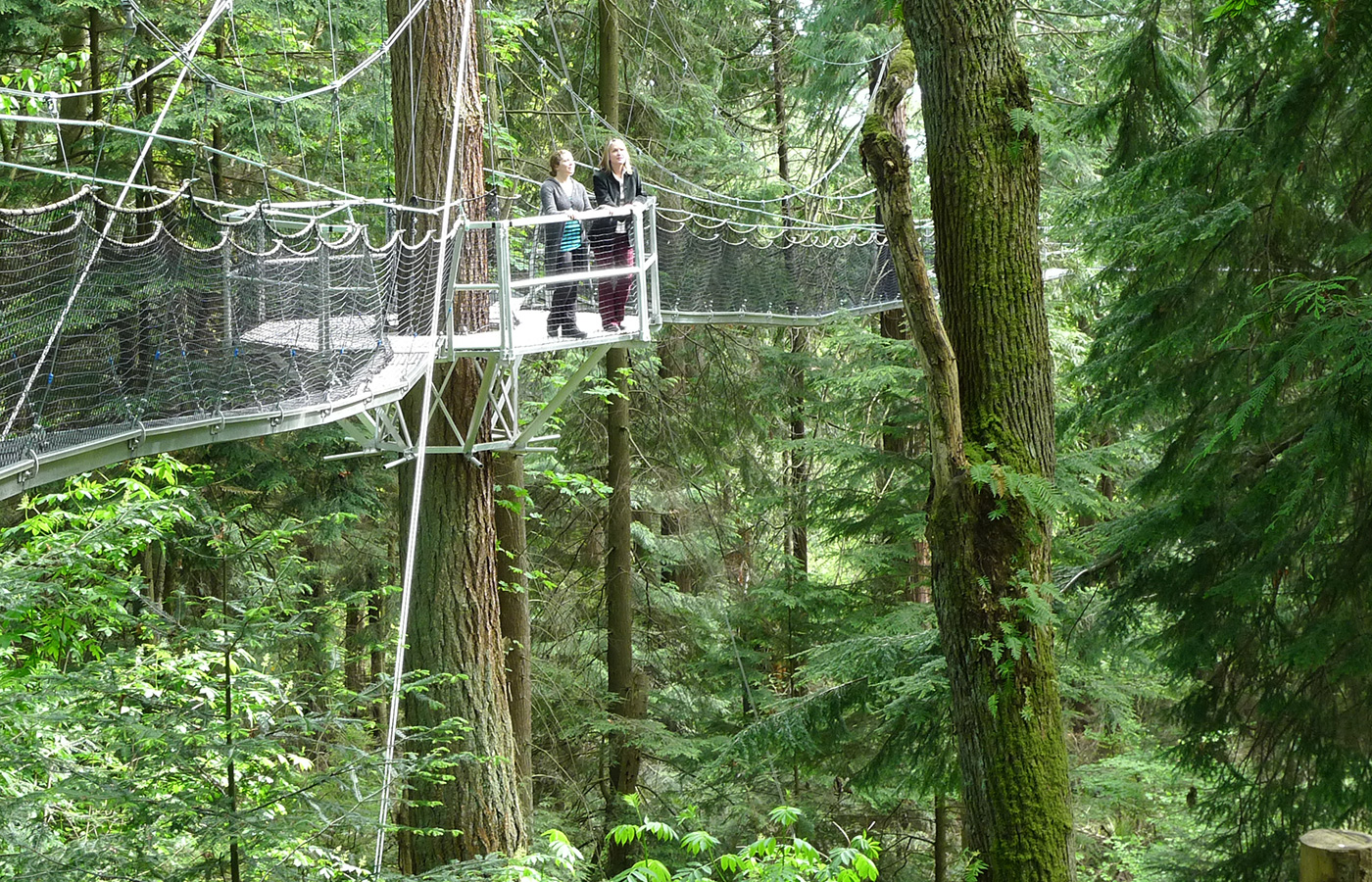 Greenheart Treewalk Ubc Botanical Garden