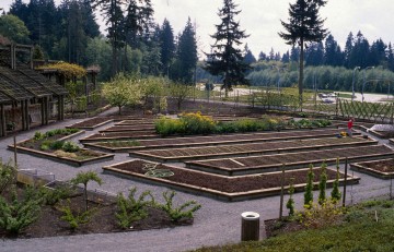 Food Garden