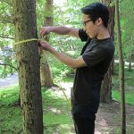 Internships