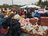 Braving the storm at the 25th Apple Festival