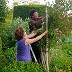 Horticulture Training at the Garden