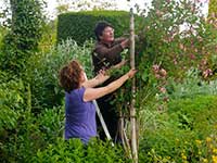 Horticulture Training at the Garden