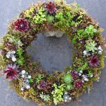 Sedum wreath