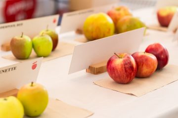 Apples at Apple Fest 2018