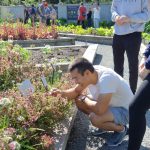 Masters of Geomatics for Environmental Management (MGEM) student smiling and inspecting colourful and flowering plants in UBC Botanical Food Garden