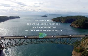 long shot of bridge against water and forested land with cars. Text: February 2020 The world comes together for a conversation on the future of biodiversity