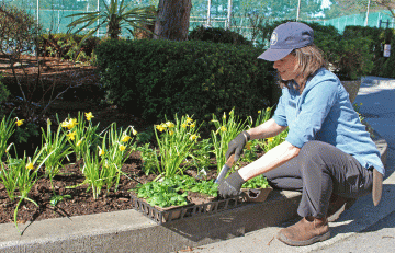 International Women’s Day: Meet Allison Luke, Horticulture Training Program graduate