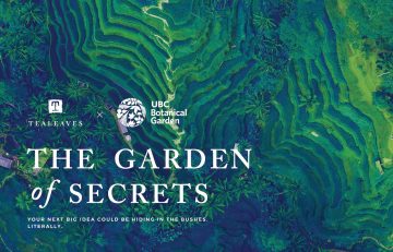 Virtual Tea & Talk: “The Garden of Secrets” Recap