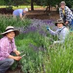 Friends of the Garden (FOGs) Feature: October-December