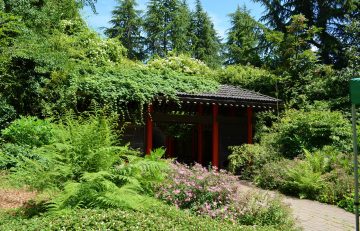 UBC Botanical Garden