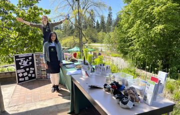 - The Birds of UBC Botanical Garden Learning Station, complete with nests, feathers and miniature plushies. Photo credit: Dr. Tara Moreau