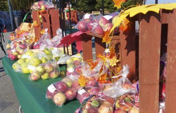 UBC Apple Festival 2022 Recap