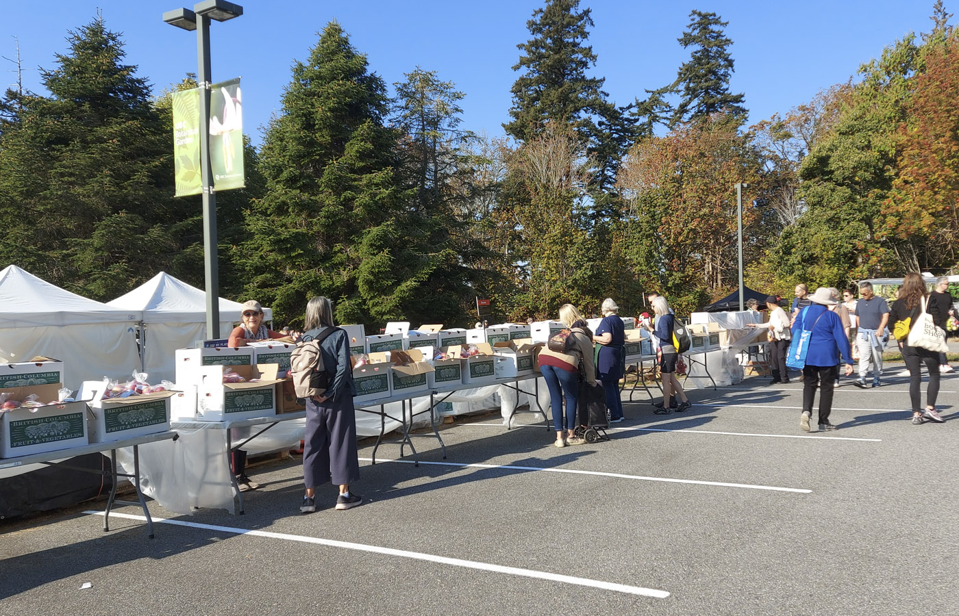 UBC Apple Festival 2022 Recap UBC Botanical Garden