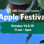 Apple Festival 2023