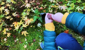 Sharing a Piece of Nitobe Memorial Garden: Japanese Maple Sharing Event for Families 