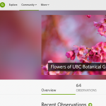 iNaturalist – Plant Phenology