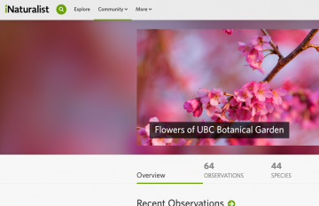 iNaturalist – Plant Phenology