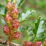 September in the Garden 2024