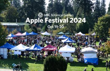 What to expect at the 33rd annual Apple Festival October 19 & 20, 2024!