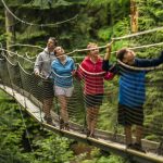 The Story Behind Greenheart TreeWalk: A Conversation With Ian Green