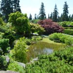 UBC Botanical Garden Tree Tops